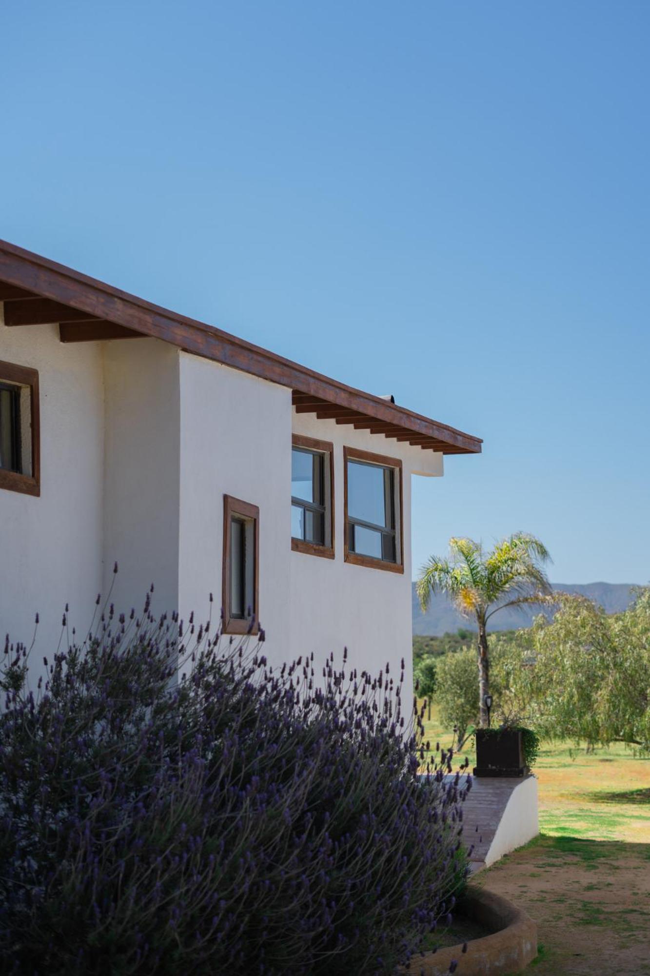 Villa Victoria, Valle De Guadalupe Exterior foto